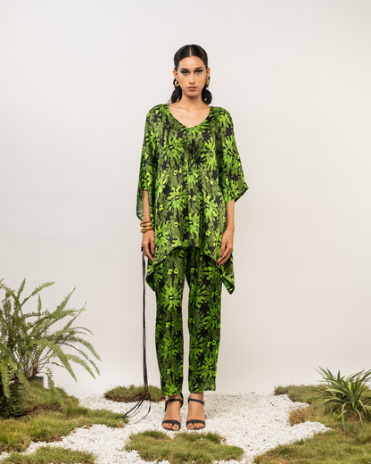 AZOLLA CO-ORD