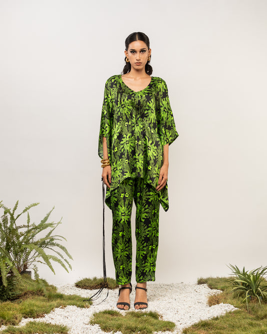 AZOLLA CO-ORD