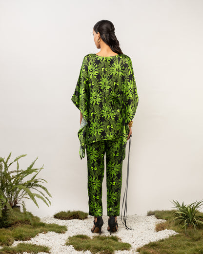 AZOLLA CO-ORD